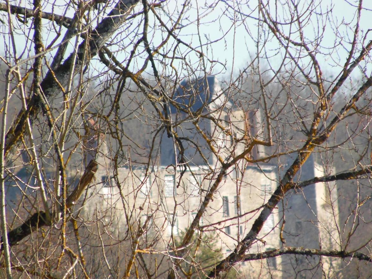 Gite Et Chambres D'Hotes Les Terrasses De Gaumier Gaumiers Esterno foto